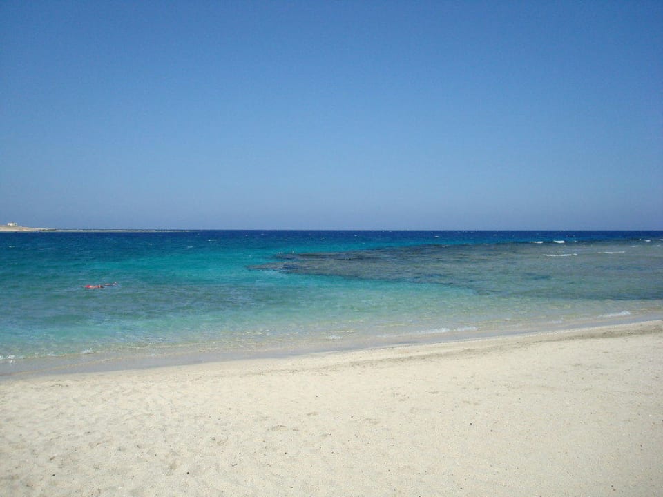 Strand, rechts das Riff Malikia Resort Abu Dabbab