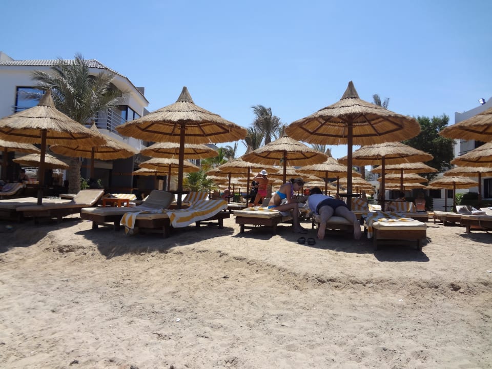 Od strony Morza Seagull Beach Resort