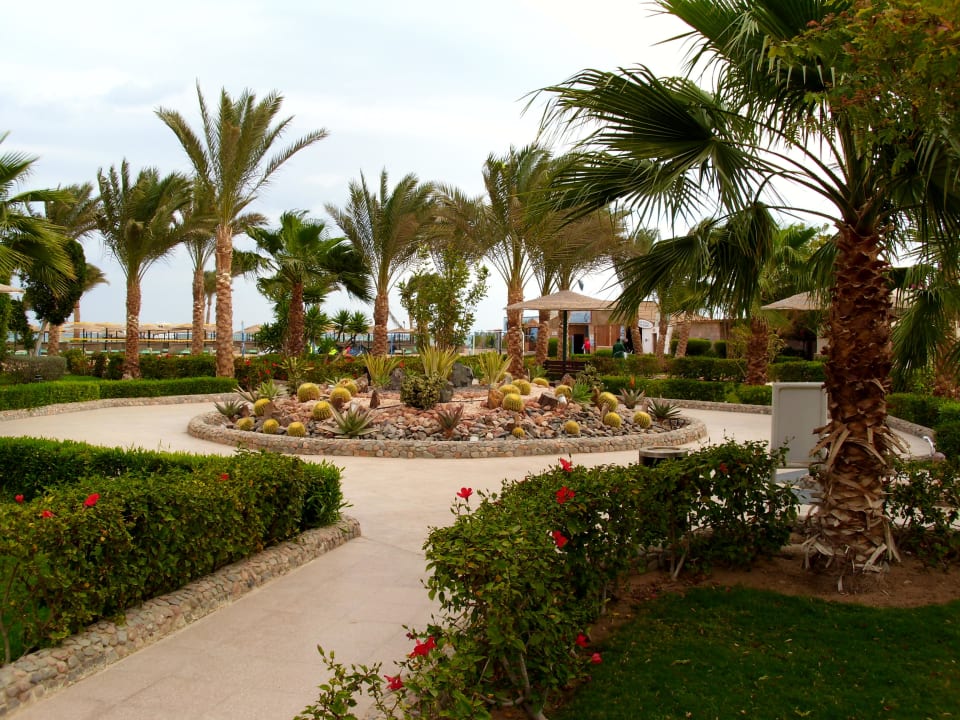 Kakteeninsel Golden Beach Resort