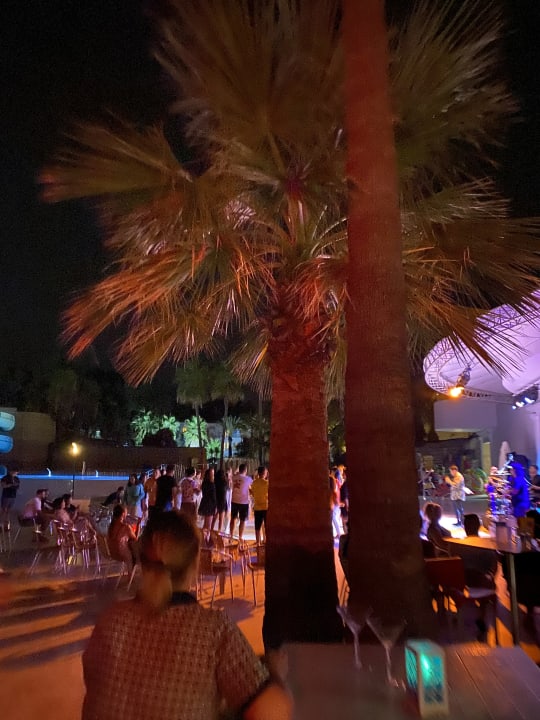 Sport & Freizeit Monachus Family Resort Sorgun