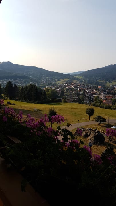 Ausblick Pension Haus Sonnenfels