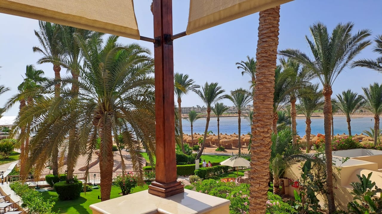 Gastro Steigenberger Coraya Beach - Adults only