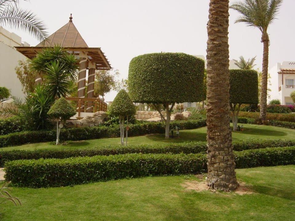 Gartenanlage mit exakt geschnittenen Bäumchen Pickalbatros Royal Grand Resort - Sharm El Sheikh