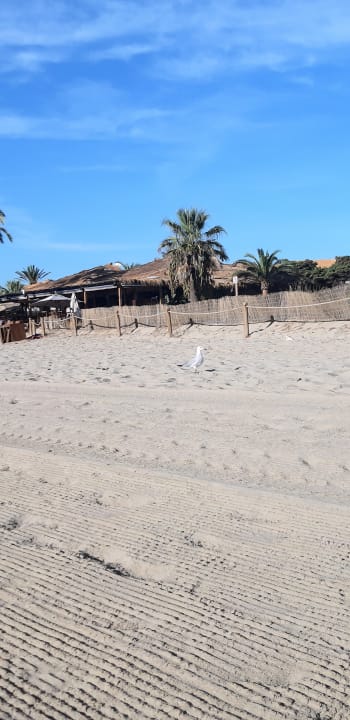 Strand FERGUS Style Bahamas