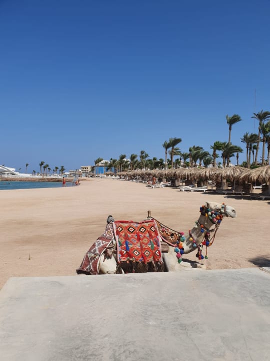 Strand Meraki Resort (Adults Only)