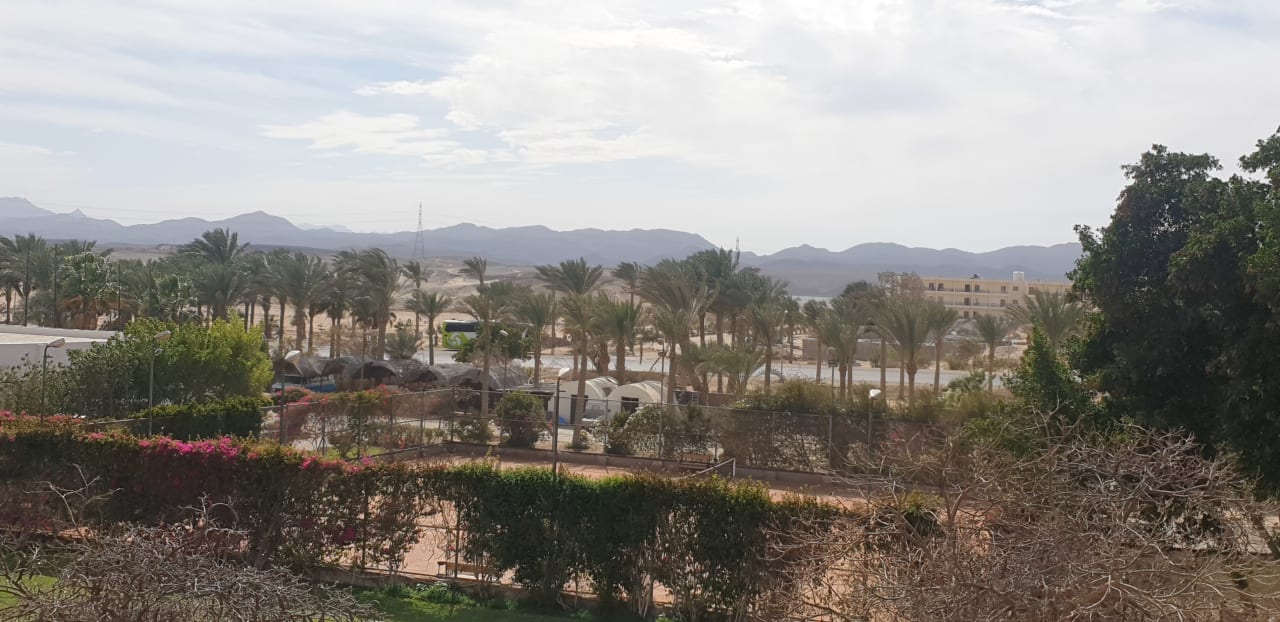 Ausblick Brayka Bay Resort