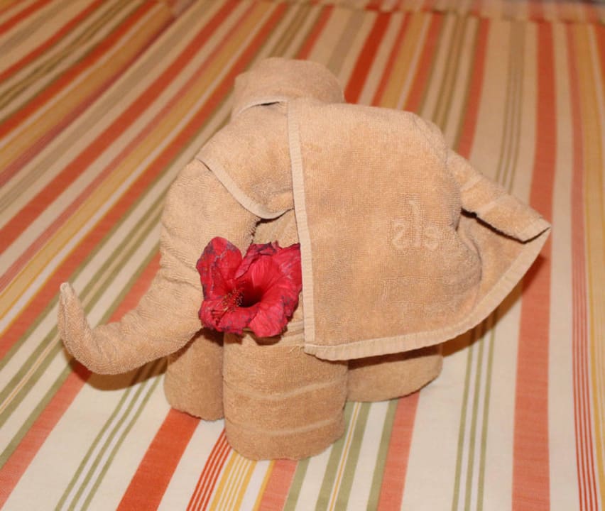 Danke! SBH Hotel Taro Beach