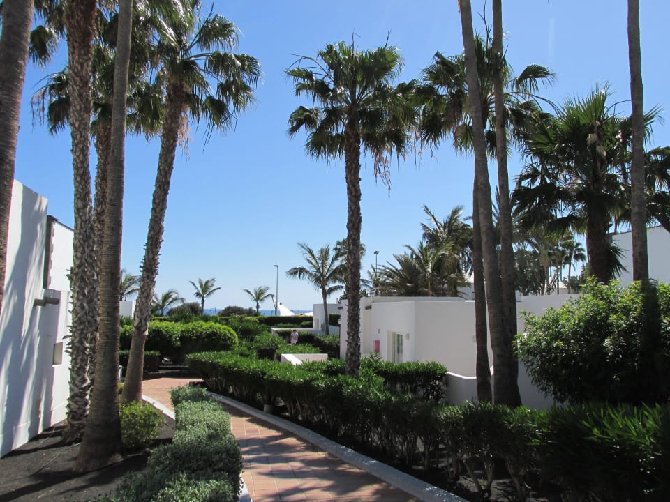 Wunderbarer Garten Hotel Riu Paraiso Lanzarote