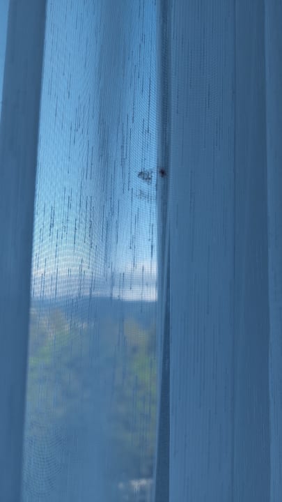 Zimmer 6 Pension Fliegerhorst NOMAD - gutes schlichtes Ferienzimmer