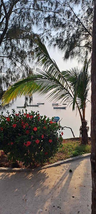 Ausblick Zanzibar Bay Resort & Spa
