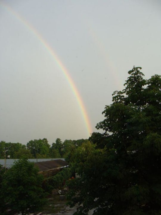 Blick aus  dem Zimmer 119 Centro Park Hotel Stuttgart, Trademark Collection by Wyndham