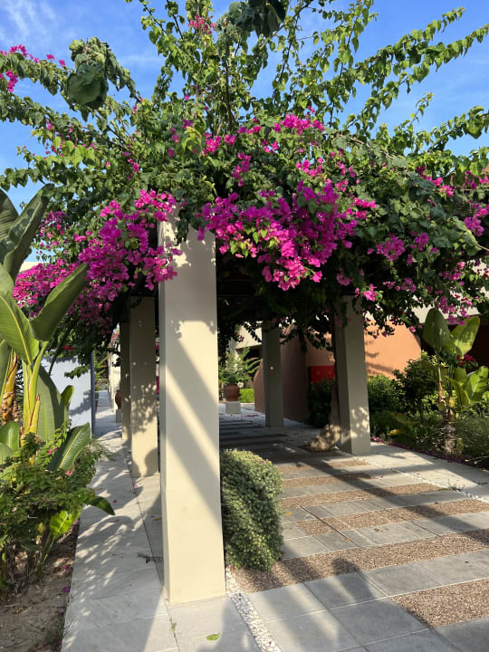 Gartenanlage Astir Odysseus Kos Resort & Spa