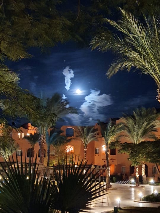 Gartenanlage Jaz Makadi Oasis Resort