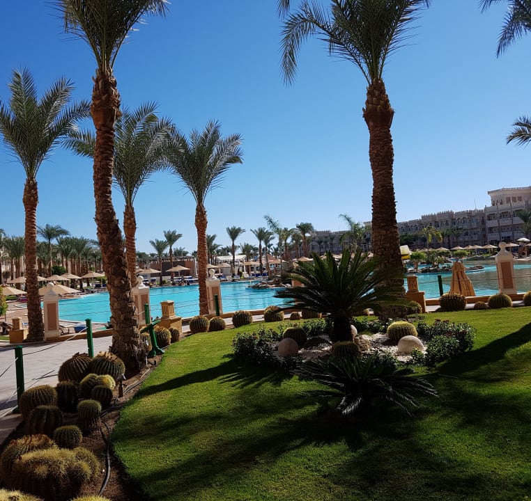 Pool Pickalbatros Palace Resort