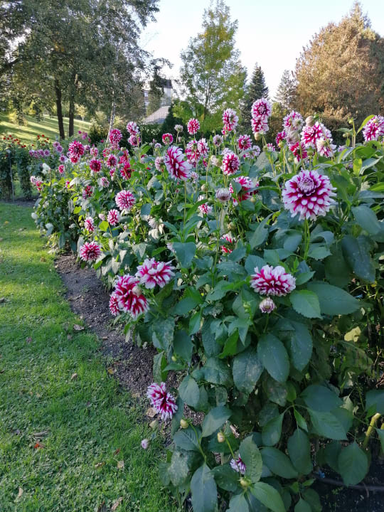Gartenanlage Vivea Hotel Bad Schönau - Zur Quelle