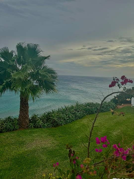 Gartenanlage ROBINSON ESQUINZO PLAYA