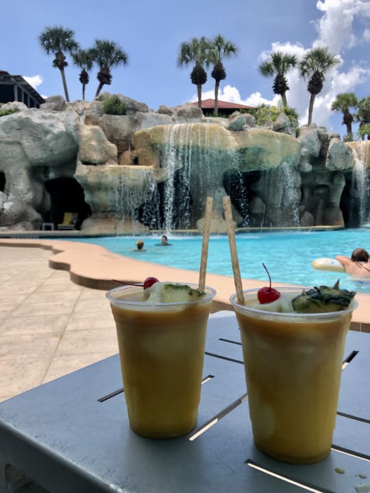Gastro Hotel Hyatt Regency Orlando