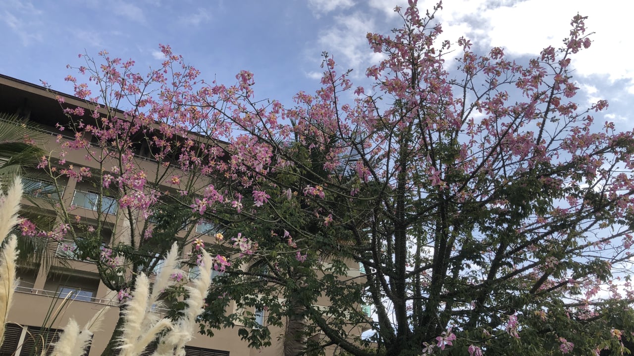 Gartenanlage Sunis Kumköy Beach Resort Hotel & Spa