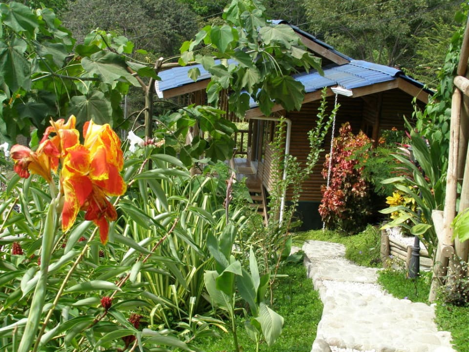 Magical garden Horizon Ocean View Hotel & Yoga Center