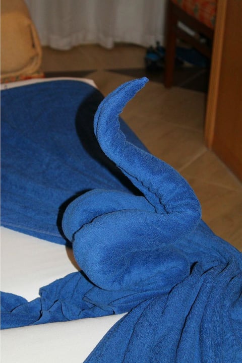 Местные змейки Beach Albatros Resort