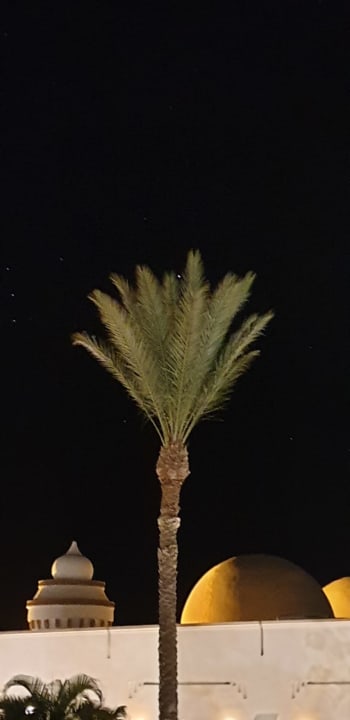 Gartenanlage Hotel Gorgonia Beach Resort