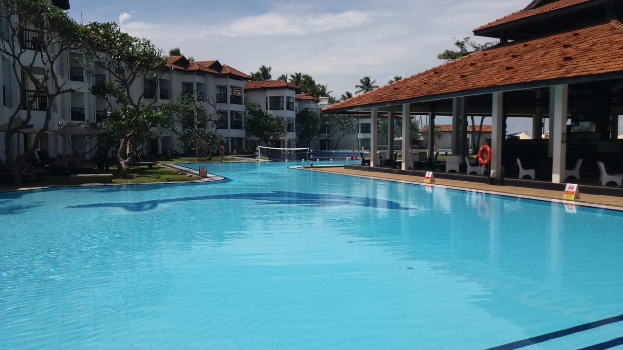 Pool Club Hotel Dolphin