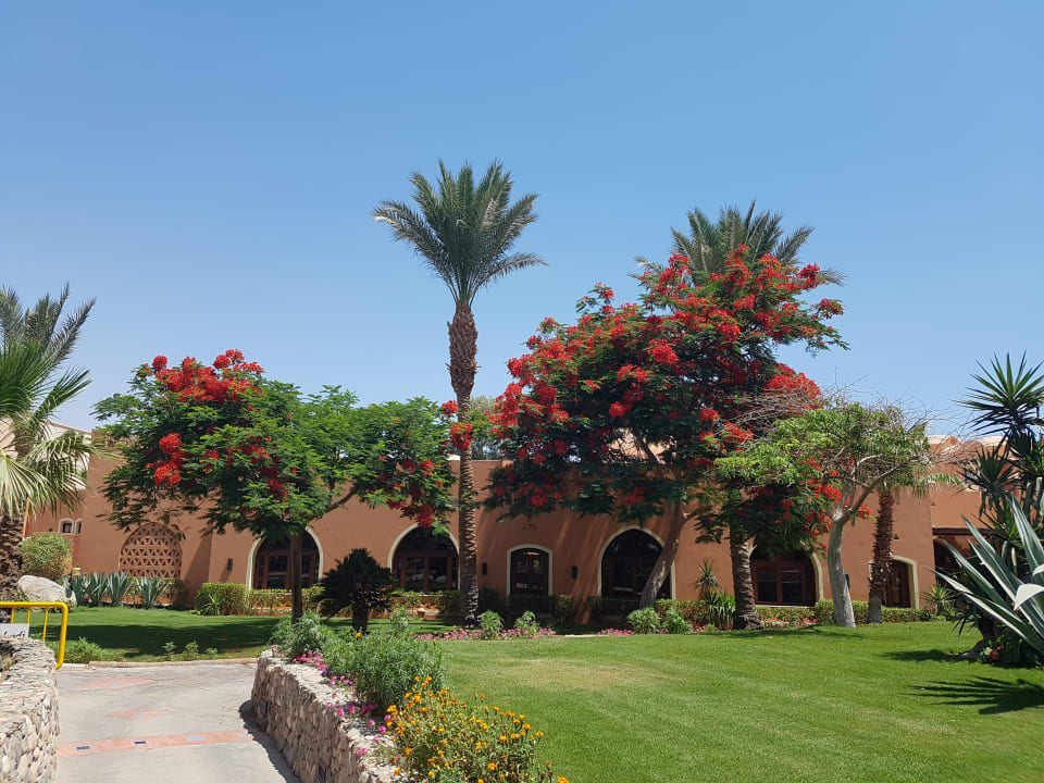 Gartenanlage Jaz Makadi Oasis Resort