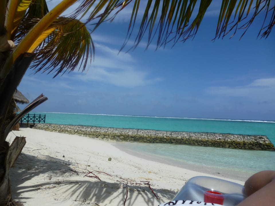 Hotel Summer Island Village Summer Island Maldives