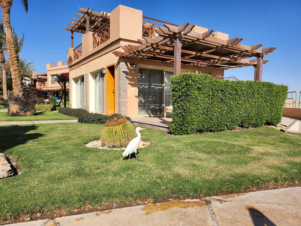 Außenansicht Shams Prestige Abu Soma-Adults Only