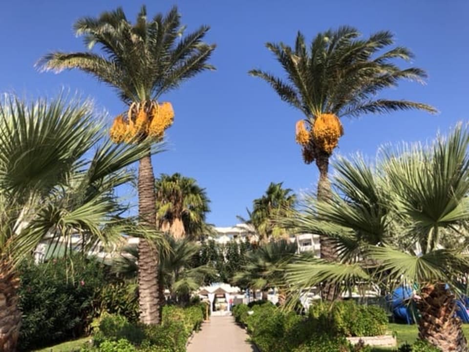 Außenansicht Rodos Palladium Leisure & Wellness