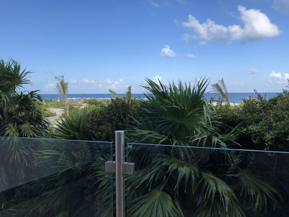 Ausblick TRS Coral Hotel - Adults Only