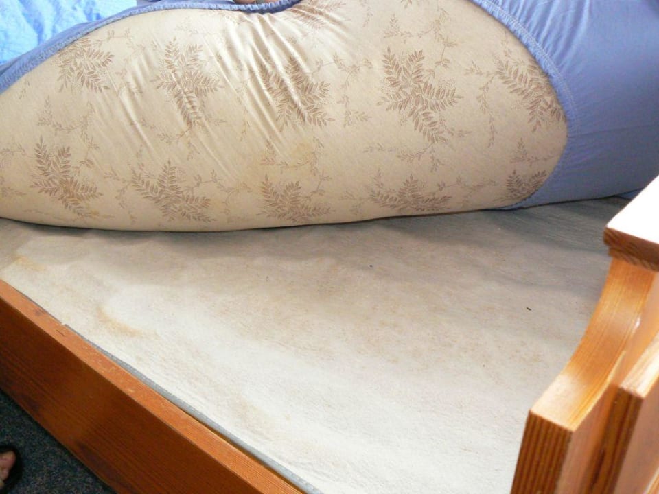 Guten Appetit! Gasthof Bären