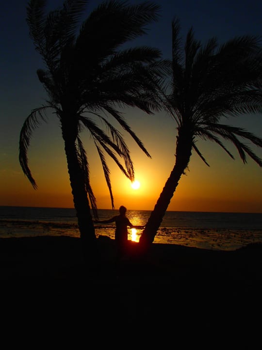 ..... Malikia Resort Abu Dabbab