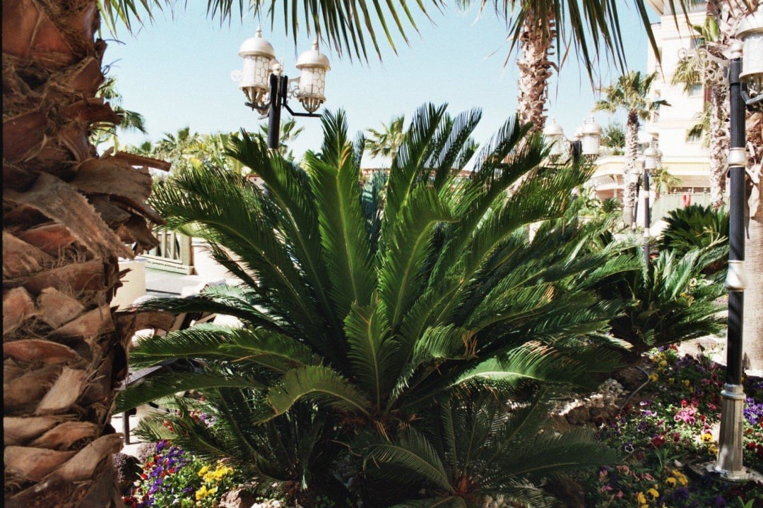 Rund um den Pool Diamond Excellence Resort & Spa