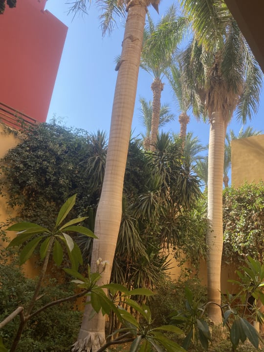 Gartenanlage Grand Makadi