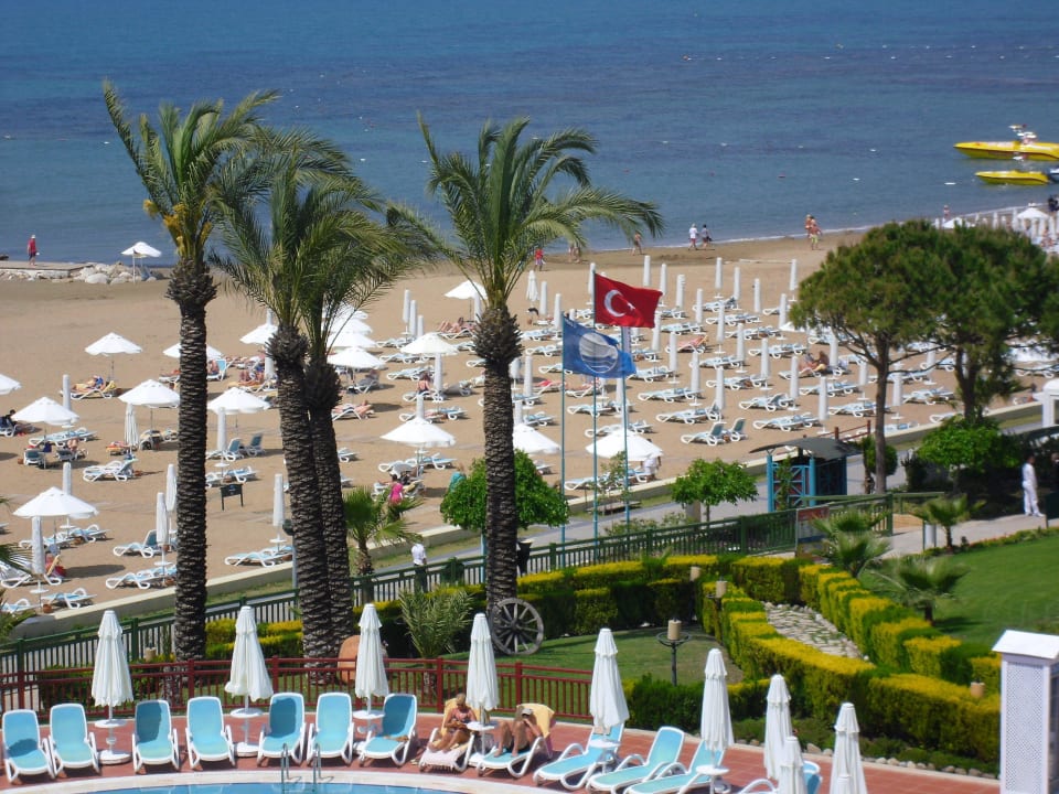 Klasse PALOMA Perissia