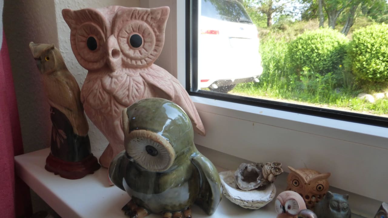 Auch im Frühstücksraum Eulen und nochmals Eulen Dünenhotel Eulenhof