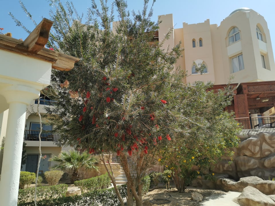 Gartenanlage Hotel Kempinski Soma Bay