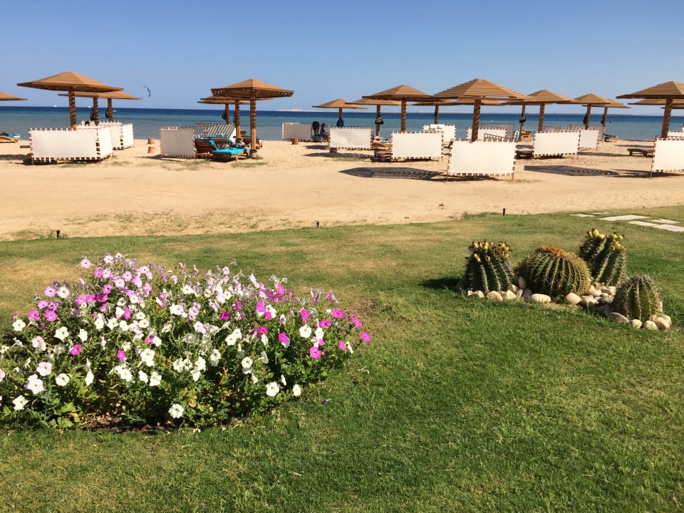 Strand Shams Prestige Abu Soma-Adults Only