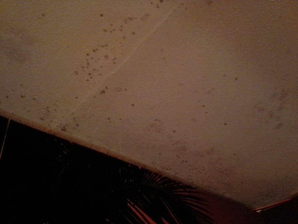 Decke im Saunabereich schimmelig Holiday House L'Hirondelle