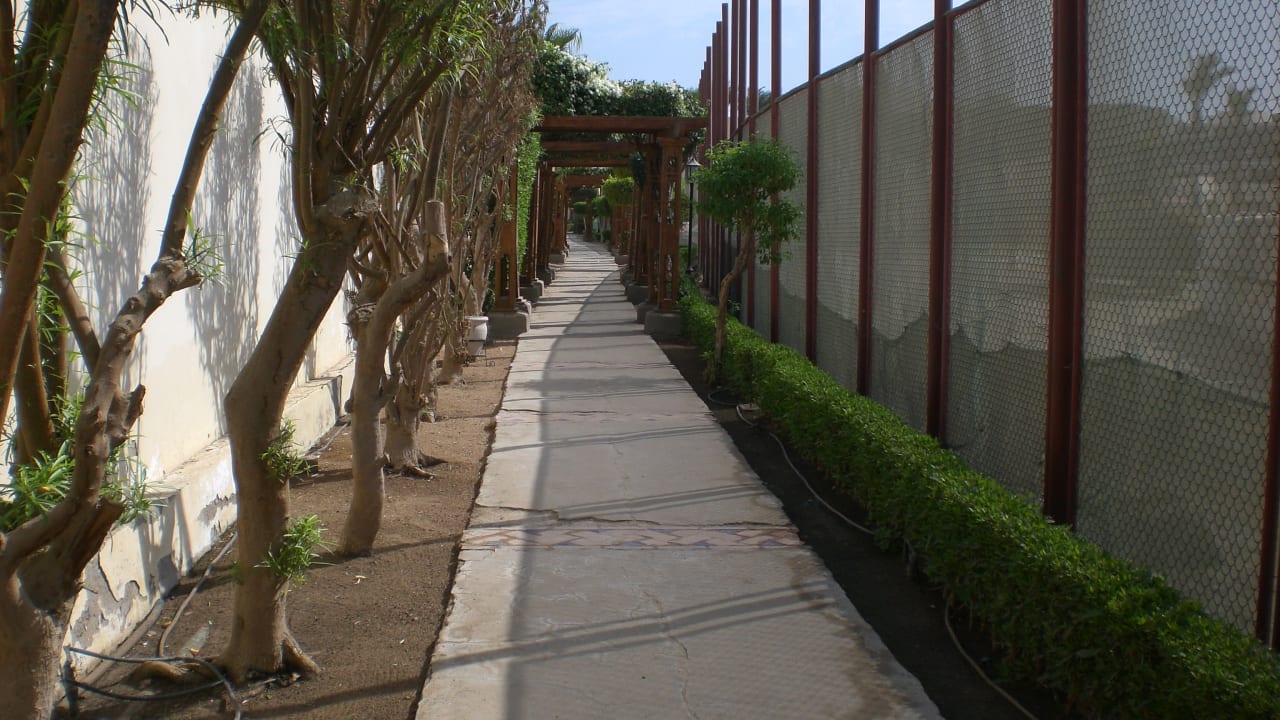 Gartenanlage Iberotel Casa Del Mar Resort