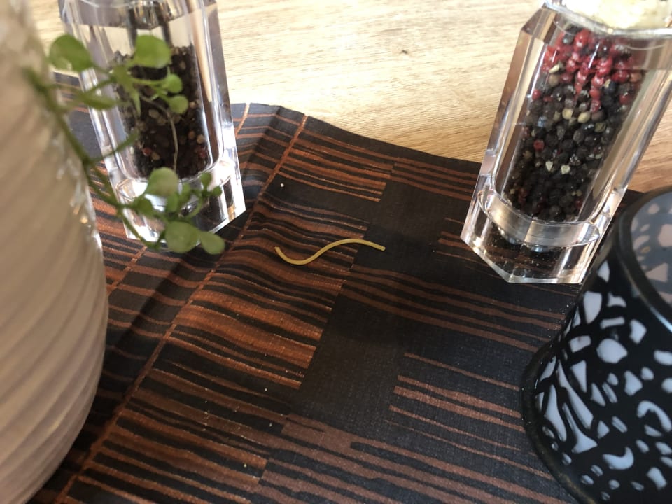 Gastro Aldiana Club Ampflwang