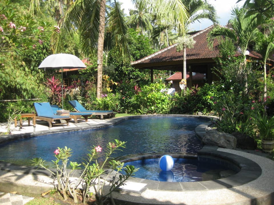 Der Pool Saraswati Holiday House
