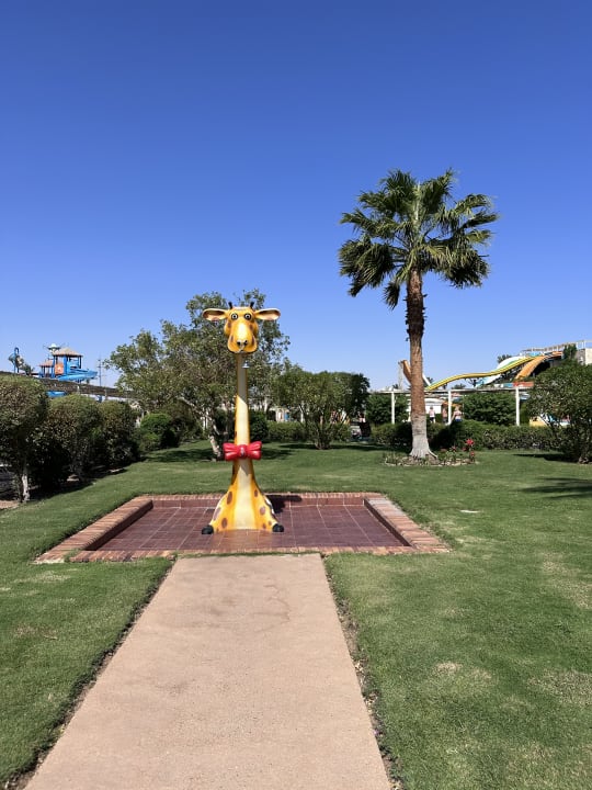 Sonstiges Jaz Aquaviva