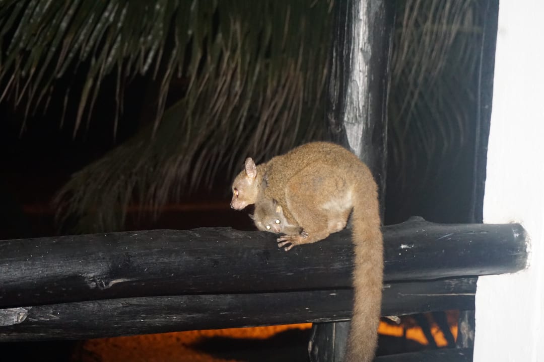 Sonstiges Hotel Southern Palms Beach Resort