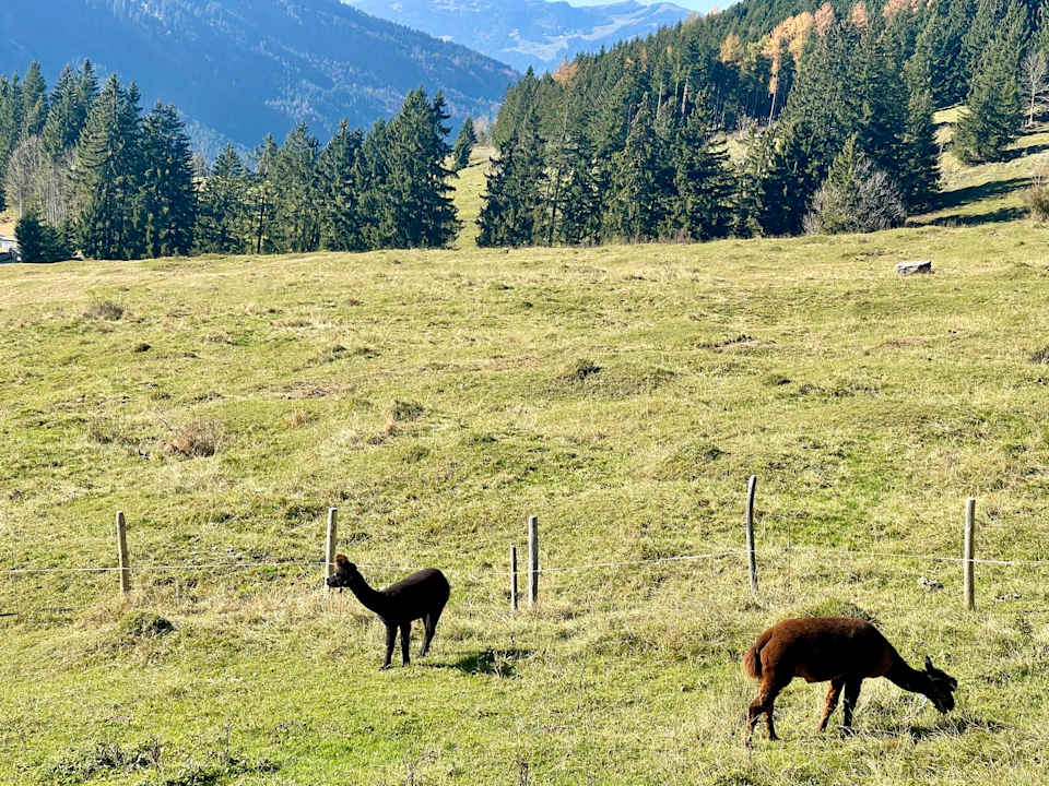 Gartenanlage Oberjoch - Familux Resort