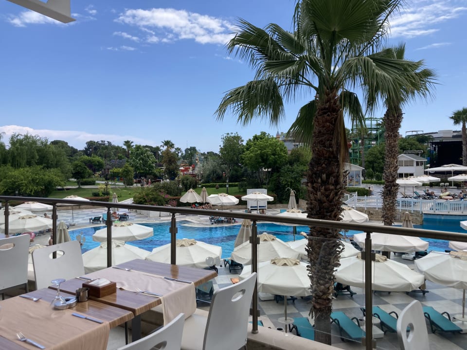 Pool Crystal Prestige Pearl Collection