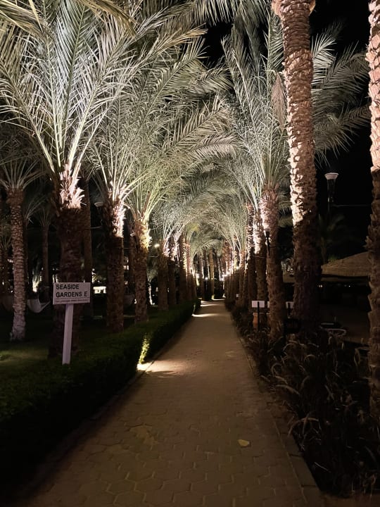 Gartenanlage Fort Arabesque Resort, Spa & Villas