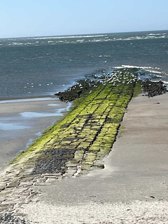 Strand Hotel Am Damenpfad mit Haus Seeblick