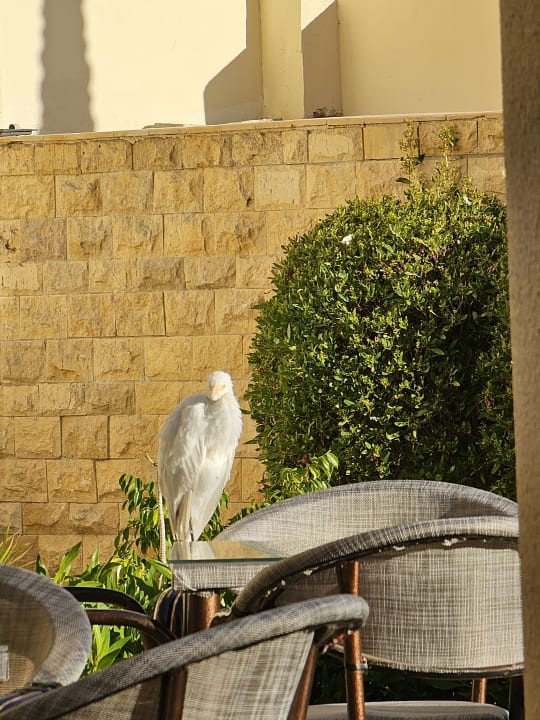 Sonstiges Coral Hills Resorts & SPA